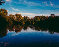 电话炸弹防护业务