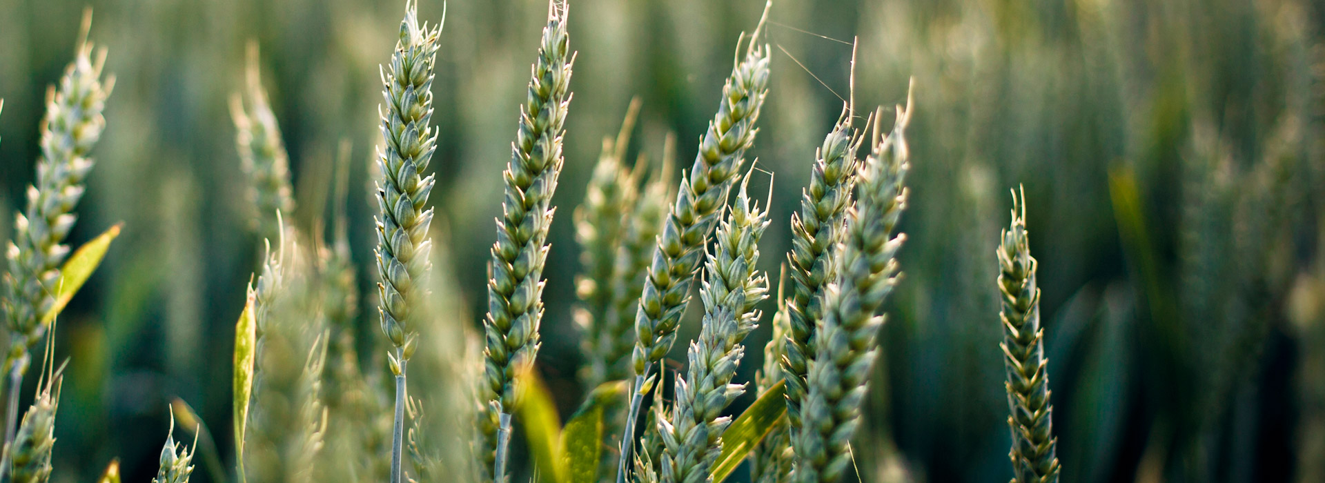 电话号码轰炸app